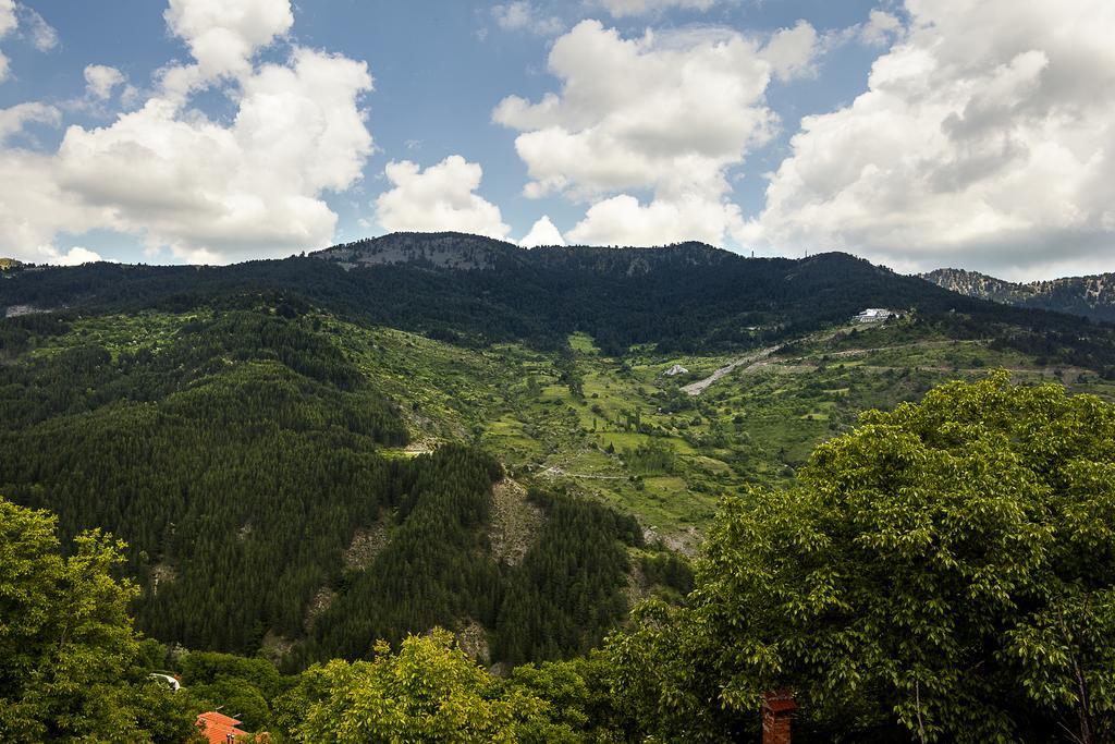 AROMA DRYOS SPA&ECO Hotel Metsovo Zimmer foto