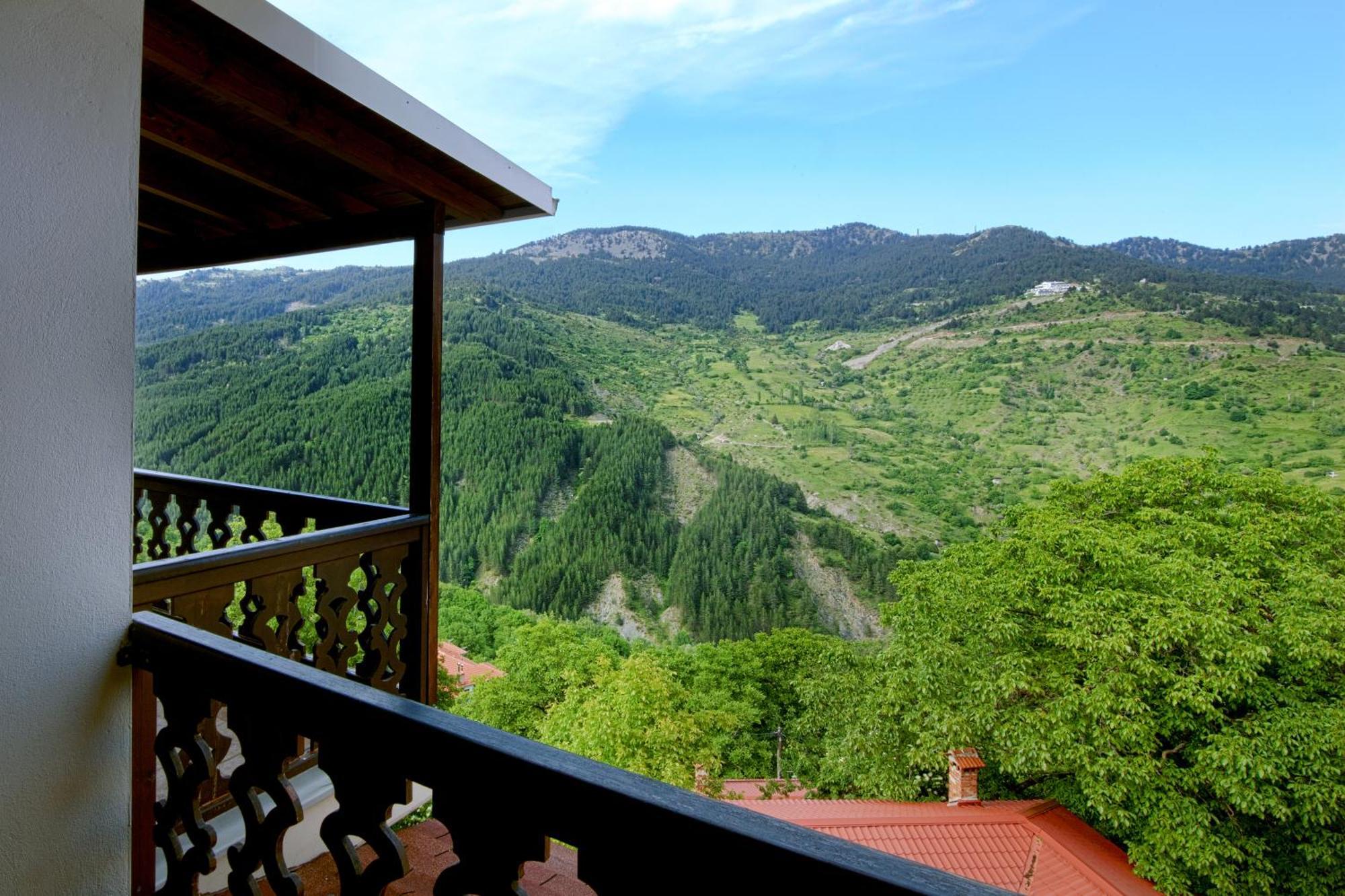 AROMA DRYOS SPA&ECO Hotel Metsovo Exterior foto